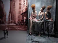 /album/dlya-kollektsii-prichyosok-haute-couture/estel-19-06-0463-jpg/